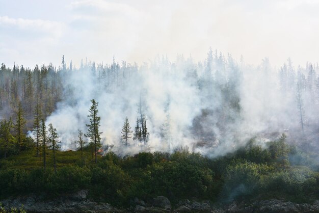 Wildvuur in Siberië