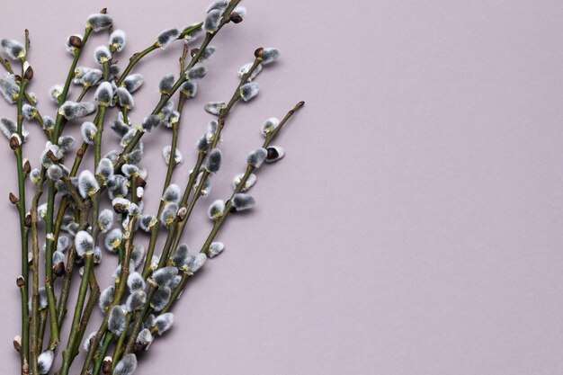 Willow branches are a symbol of the Christian holidays of Palm Sunday and Easter. Minimalistic Easter card with place for your text.