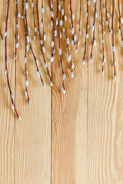 Willow branches on the background of a wooden surface shot from above.