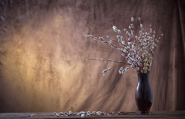 Willow branches  in glass vase on brown dark background