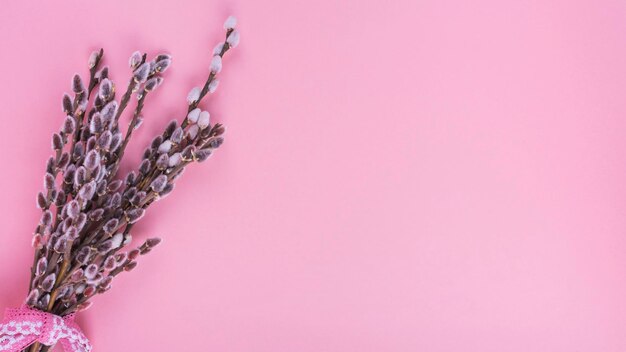 willow branches with catkins pink table