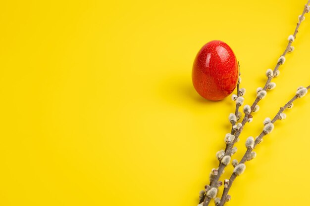 Willow twigs with a red egg on a yellow background with a place to copy happy easter concept