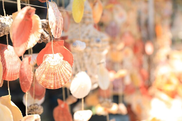Колокольчики из морских раковин в сувенирном магазине крупным планом Место для текста