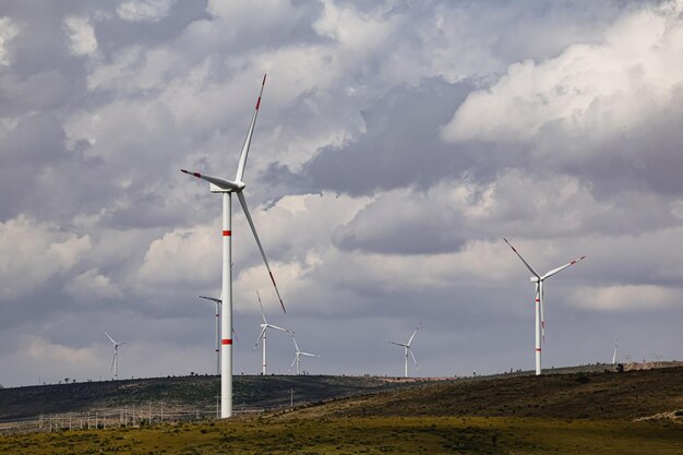 wind energy generators in green landscapes in Mexico