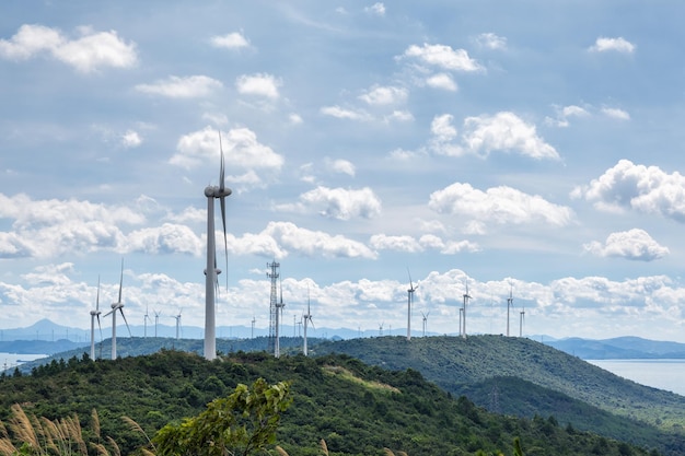 中国のハ陽湖の横にある晴れた空を背景にした風力発電所