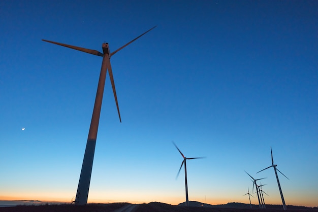 Wind farm at dusk