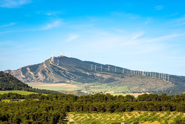 Fattoria eolica su una cresta di montagna cielo azzurro con morbide nuvole bianche paesaggio spagnolo sierra de la oliva albacete spain