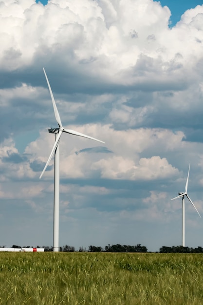 Wind farm in a wheat field production of green energy