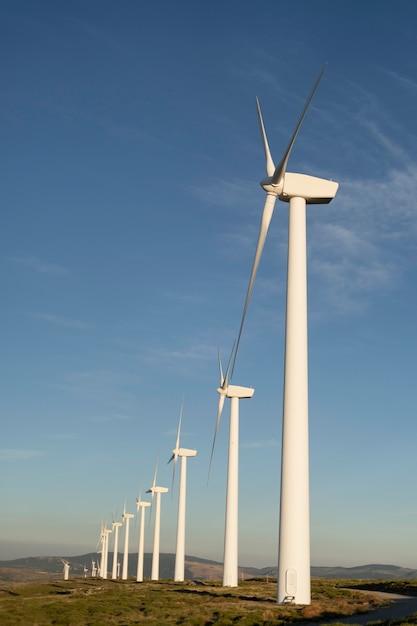 Wind farms fields