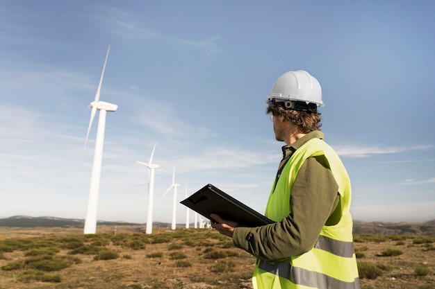 Wind farms fields