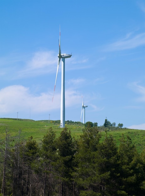 Wind farms in Italy against the blue sky and nature