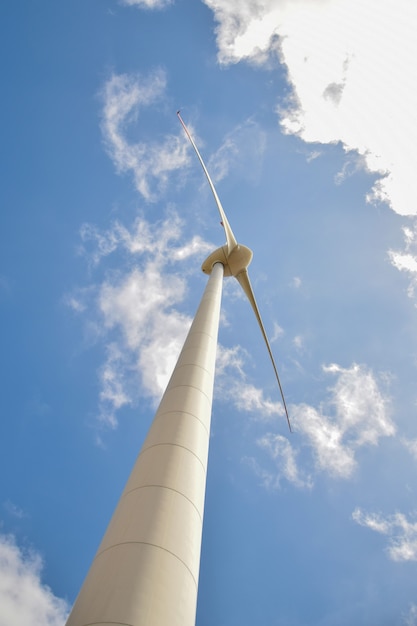 Wind field with wind turbines, producing wind energy under blue sky