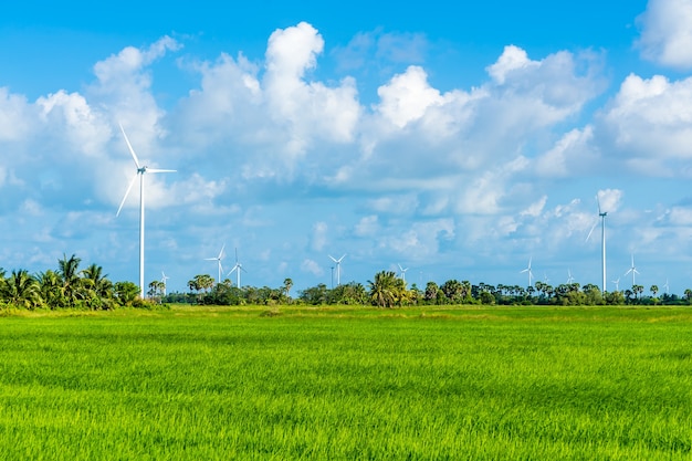 Wind generators in field at Hua Sai District