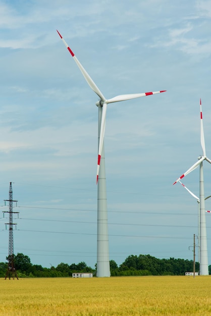 小麦の分野における風力発電機エコロジー電力工学2022年夏代替エネルギー