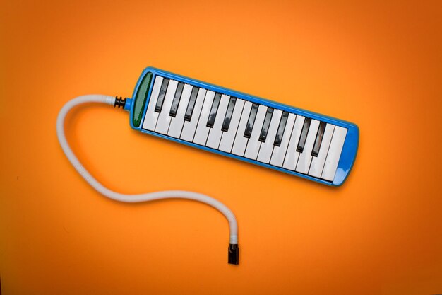 Wind instrument with keyboard la melodica