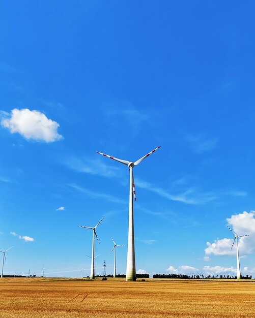 Wind mills in the field in summer