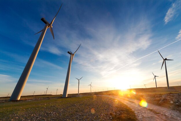 Wind mills landscape