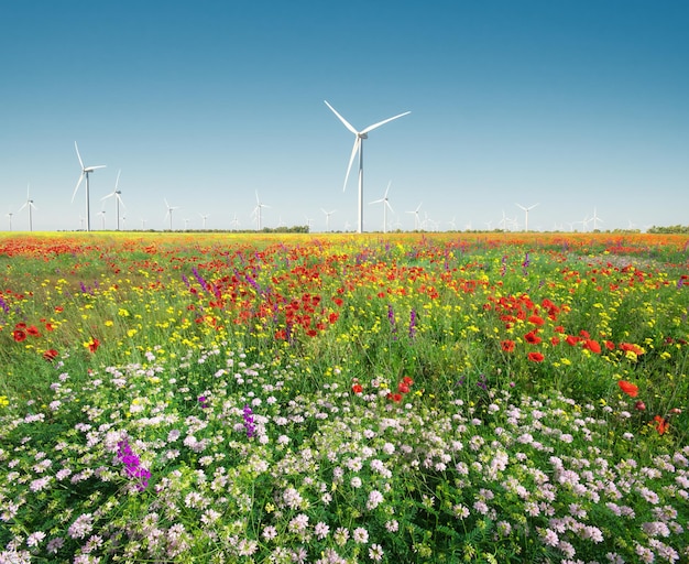 Wind power plant and green meadow at day