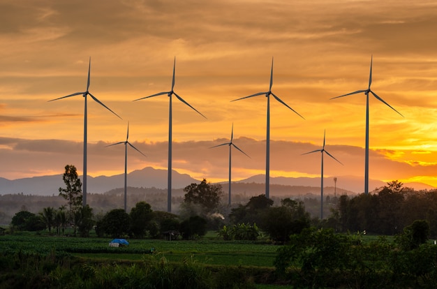 Wind turbine energy  Green ecological power energy generation