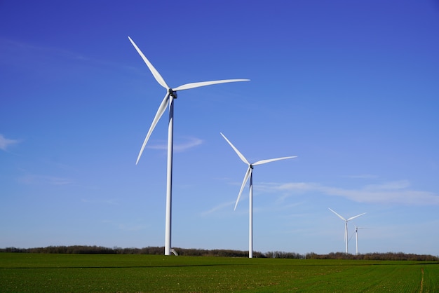 Wind turbine farm landscape summer