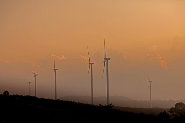 Wind turbine farm of silhouette at sunset