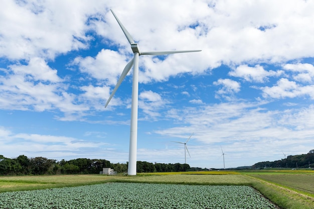 Wind turbine and farm