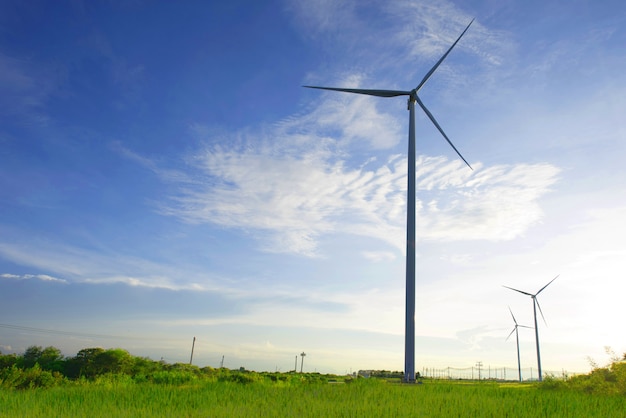 Wind turbine in the field