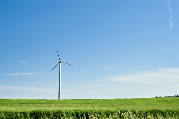 フィールドの風力タービン。風力エネルギーの概念。気候保護のための再生可能エネルギー