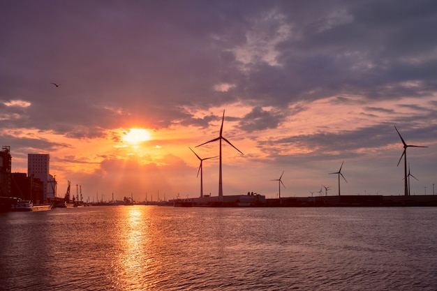 Wind turbines in antwerp port on sunset