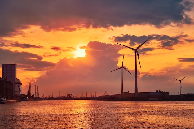 Wind turbines in antwerp port on sunset