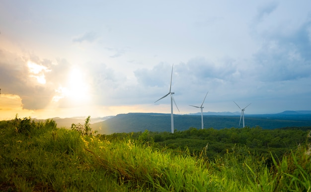 Wind turbines in the evening