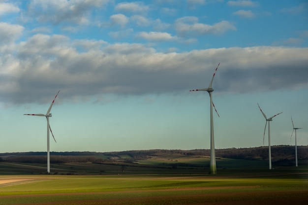 Wind turbines farm in green field.