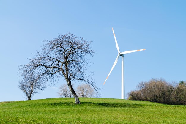 Wind turbines on field against clear sky