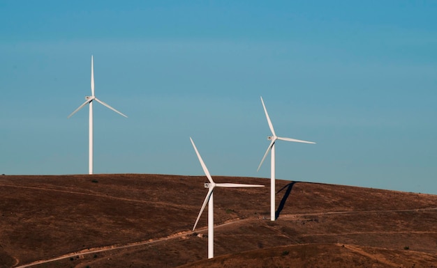 Wind turbines on the field against clear sky