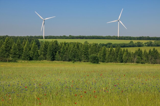 Ветряные турбины на поле против неба