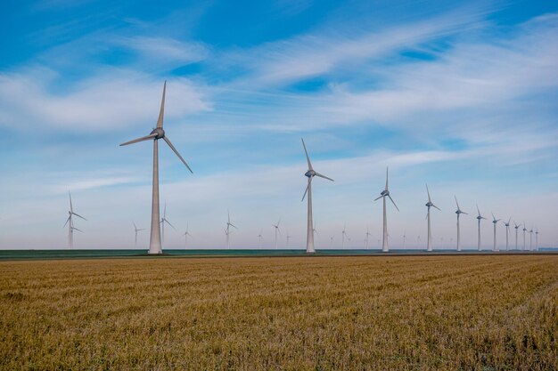 Wind turbines on field against sky