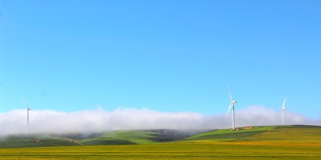 Wind turbines on field against sky