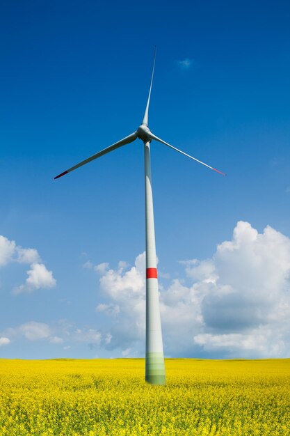 Foto turbine eoliche sul campo contro il cielo