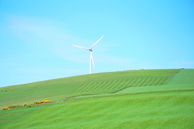 Wind turbines on field against sky