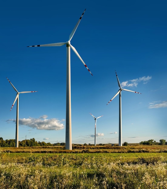 Wind turbines in a field on a background of beautiful sky