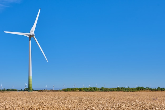 Wind turbines on a field of ripe wheat