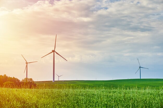 Wind turbines in the field in the summer