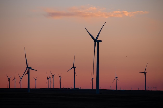 Wind turbines in a field at sunset in a rural