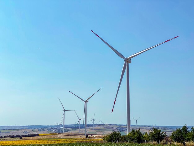 wind turbines on the field in Turkey
