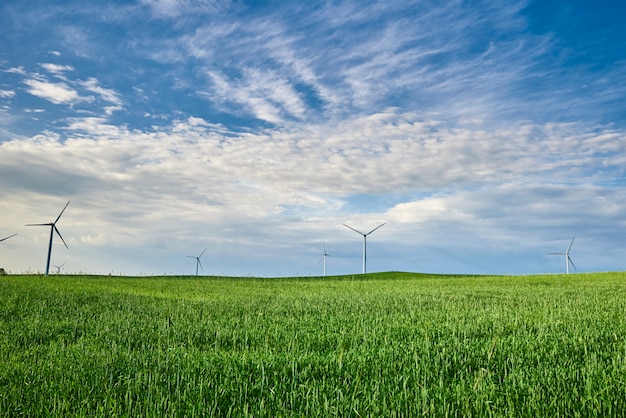 Wind turbines on a field with green grass