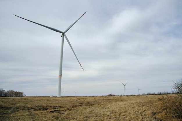 Wind turbines on a field with yellow grass and against a cloudy skyEnvironmentally friendly renewable energy