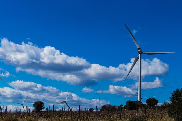 Wind turbines on field