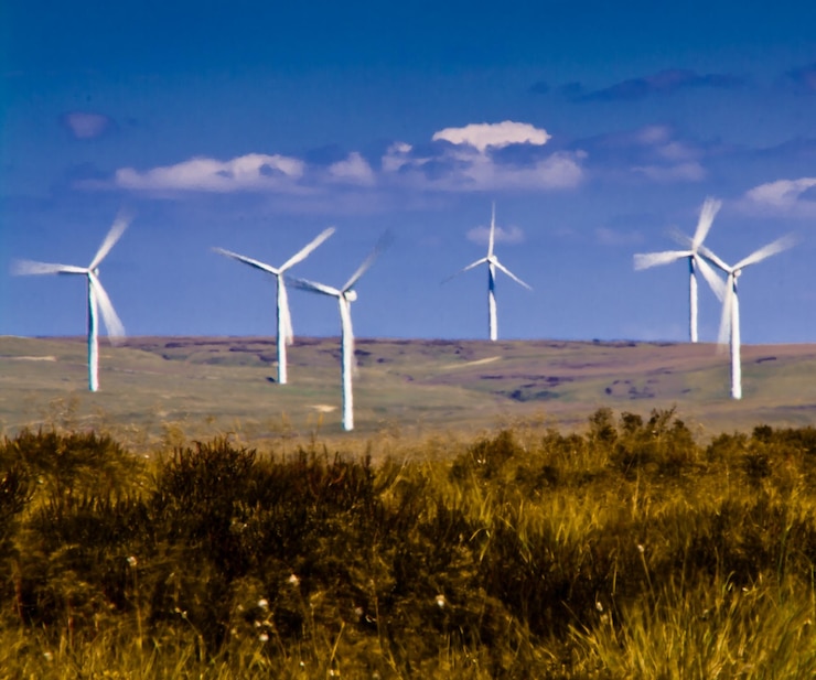 फोटो wind turbines on field