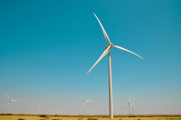 Wind turbines on field