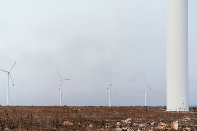 Wind turbines generating electricity in the field